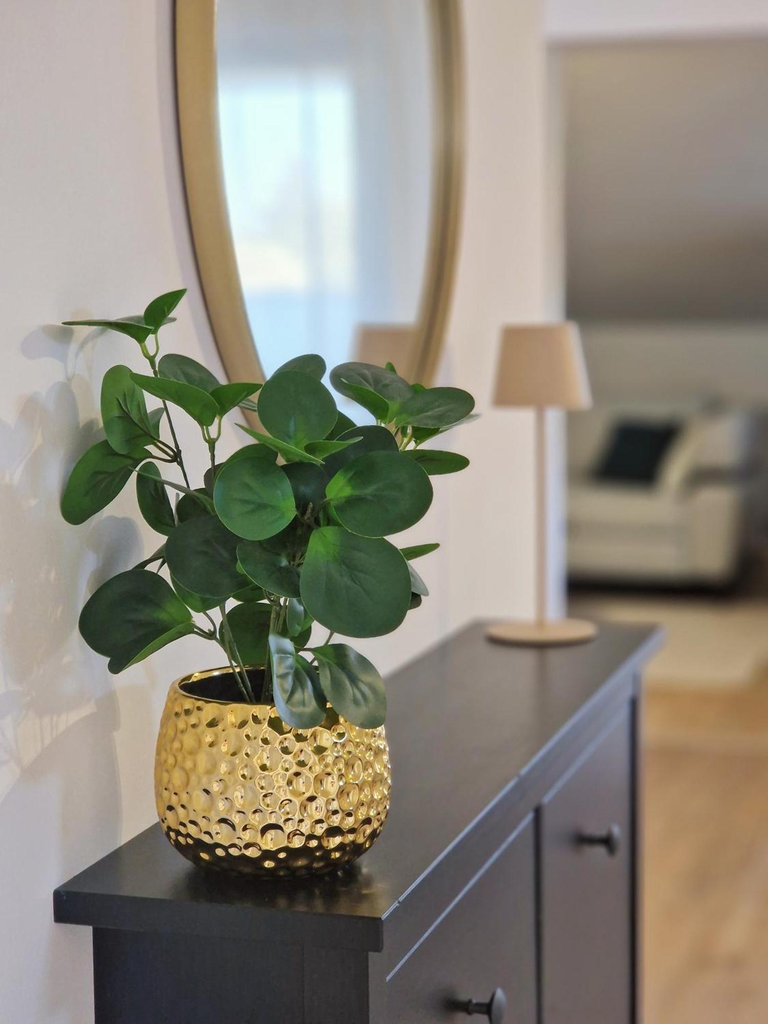 Apartments Jasna Rovinj Kültér fotó